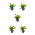 thumbnail image 2 of Decodeary Green Eco-friendly Artificial Money Tree In Pot Long-lasting Durability Realistic Appearance purple babysbreath 5Set, 2 of 6