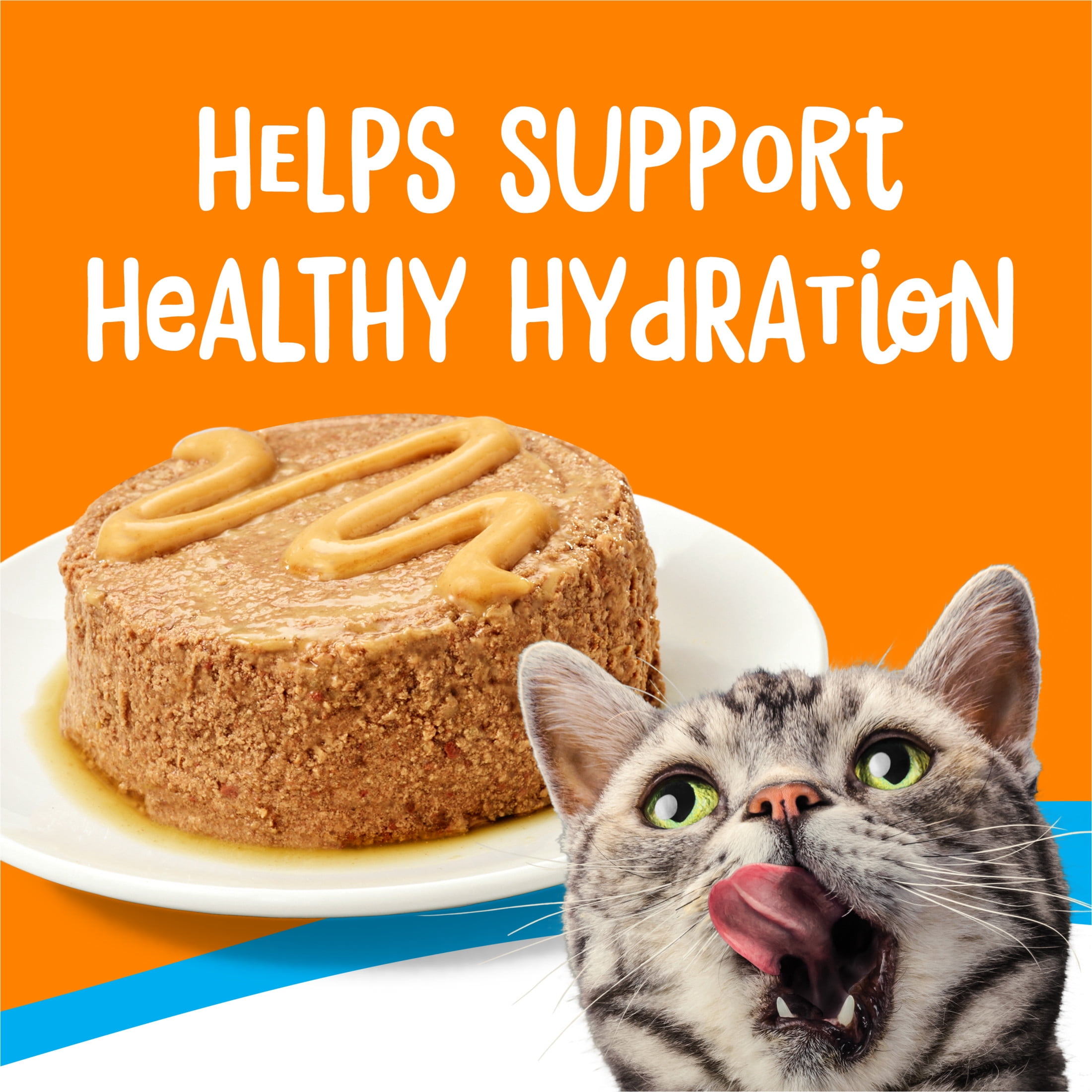 Purina Friskies Lil' Lickables Thon Et Poulet Emballage Assorti, Gâteries pour chats, 14 g x 10