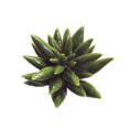 thumbnail image 1 of Coofit Artificial Succulent DIY Realistic Mini Unpotted Succulent Artificial Plant, 1 of 10