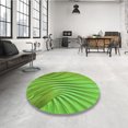 thumbnail image 4 of Ahgly Tapis Rectangulaire Lavable en Machine Intérieur Transitionnel Vert Émeraude, 3 Pieds x 5 Pieds, 4 of 7