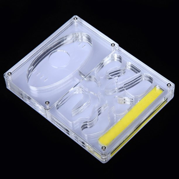Ferme à Fourmis En Acrylique Transparent – Nid De Fourmis éducatif – Observez La Vie Des Insectes – 23,8 X 9 X 9 Cm