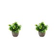 thumbnail image 2 of Decodeary Green Eco-friendly Artificial Money Tree In Pot Long-lasting Durability Realistic Appearance new blue babysbreath 2Set, 2 of 6