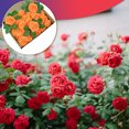 thumbnail image 2 of 25 Pieces Artificial Flowers Set Fake Roses Flowers Bouquets Decorative for Wedding Baby Shower Florals Centerpieces Red, 2 of 7