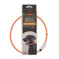 thumbnail image 4 of Coastal Pet Products Réglable Collier Lumineux pour Chien de 61cm (24") Pour la Marche Nocturne, 4 of 9