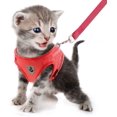 thumbnail image 4 of Dog Harness and Lead Set, Soft Mesh Padded Harness for Puppies and Cats, Reflective, Adjustable, Breathable Chest Harness for Walking, Running, Training （Red,M）, 4 of 7