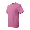 thumbnail image 1 of Hanes Men's Authentic-T T-Shirt - 5250T (Pack Of 5), 1 of 1