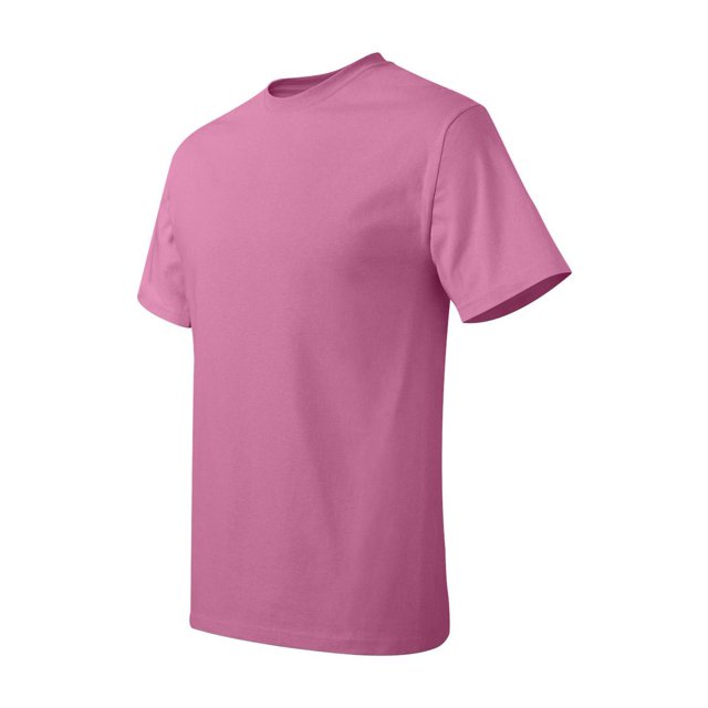Hanes Men's Authentic-T T-Shirt - 5250T (Pack Of 5)