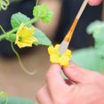 thumbnail image 3 of 8 Pcs Outil de Pollinisation Manuel Pollinisateur Portable Extérieur Plante Pollinisateur, 3 of 5