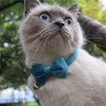 thumbnail image 1 of Detachable Bowknot Cats Collar With Bell Size Adjustable Comfortable Beautiful Solid Color Dogs Bow Tie Pets Accessories, 1 of 7