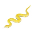 thumbnail image 3 of Aodebiao Super Realistic Rubber Snake Drives Away Birds Realistic TPR Fake Snake Suitable For Garden Cobras Rattlesnakes And Venomous Snakes Etc, 3 of 5