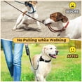 thumbnail image 2 of Prong Training Pinch Collar for Dogs with Removable Nylon Protector and Quick-Release Buckle, Extra Prongs for Large Medium Small Dogs XL, 2 of 7