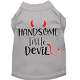 thumbnail image 1 of Handsome Little Devil Screen Print Dog Shirt Grey Xxl (18), 1 of 1