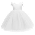 thumbnail image 1 of RXIRUCGD 2025 Summer Clothes for Kids Fashionable Girls' Solid Color Mesh Puffy Dress Girls' Performance Formal Dress, 1 of 4