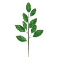 thumbnail image 1 of Vickerman QG191804 29 in. Green Glitter Leaf Spray - 6 per Bag, 1 of 3