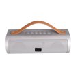 thumbnail image 1 of Proscan Wireless Bluetooth Speaker with Leather Strap, 1 of 1