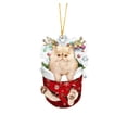 thumbnail image 1 of (2 Pack) Christmas Decorations Acrylic Stockings for Cats - Tree Hangs Festive Crafts Unique Holiday for Home Decoration, 1 of 4