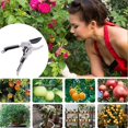 thumbnail image 5 of Garden Pruning Shears,professional,sk5 Pruning Shears Stainless Blade,high Point Precision,spring Handles, 5 of 5