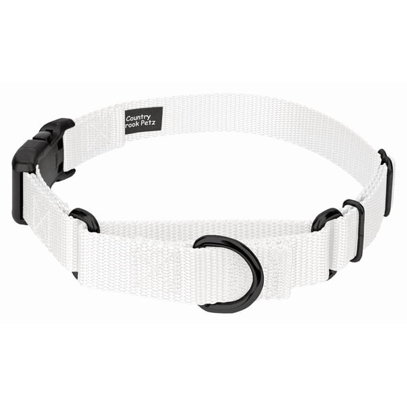 Country Brook Collier Martingale Réglable en Nylon Robuste avec Boucle de Luxe pour Petites Moyennes Grandes Races - 30+ Options de Couleur Vibrantes (1 Pouce Moyen Blanc)