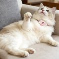 thumbnail image 5 of Interactive Smart Cat Collar with Wearable LED Lights for Indoor Exercise and Amusing, 5 of 5