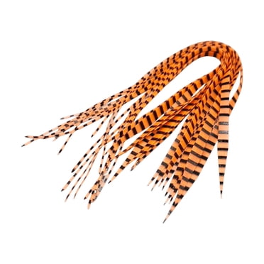 jinwen 20 Pieces Fish Ribbon Sea Fishing Lure Set for Trout Striped Bass Grass Carp Orange Black