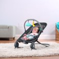thumbnail image 2 of Summer Infant Bouncer & Rocker Duo 2-en-1, 2 of 3