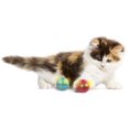 thumbnail image 2 of SmartyKat Jouet pour Chat à Balles Clignotantes, 2 of 3