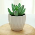 thumbnail image 2 of Coofit Mini Potted Succulent Lifelike - Artificial Plant Faux Succulent in Pot for Home, 2 of 4