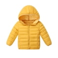 thumbnail image 1 of Boys and Toddlers' Lightweight Water-Resistant Packable Hooded Puffer Jacket, 1 of 9