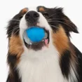 thumbnail image 4 of Zeus Duo Ball Dog Toy with Squeaker, Small, 4 of 4