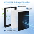 thumbnail image 3 of Lot de 4 Filtres de Remplacement A2 F2 True HEPA Compati, 3 of 7