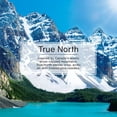 thumbnail image 3 of LITTLE TREES air freshener True North 6-Pack, 3 of 8