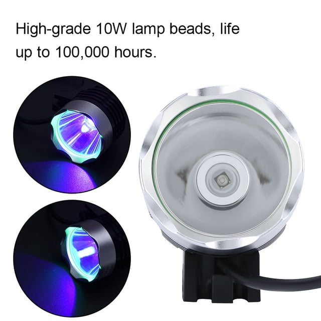 Lumière de Durcissement en Résine Durable et Forte avec LED, Lumière de Durcissement UV pour Résine, Perles de Lampe 10W pour Réparation de Téléphone Portable, Contrôle de la Sécurité de l'Argent