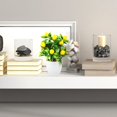 thumbnail image 4 of Potted Plants Artificial Lemon Home Decoration Decorate Plastic Pots, 4 of 10