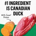 thumbnail image 4 of Beyond Grain Free Duck & Sweet Potato, Wet Cat Food 85g, 4 of 9