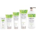 thumbnail image 1 of Coochy Crème à Raser Intime Sans Éruption Cutanée pour Pubis, Ligne de Bikini, Aisselles et Plus, Lime Clé 3,4 fl oz., 1 of 1
