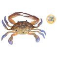 thumbnail image 2 of Modèle Crabe Animal Marin Figurine Modèle Océan Jouet Modèle Éducatif Jouets d'Animaux pour Enfants, 2 of 8
