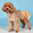 thumbnail image 1 of CBFFDC Combinaison pour Animaux Réutilisable Pantalon Physiologique pour Animaux Couches pour Chiens avec Imprimé Citron Vêtements de Protection Fournitures pour Animaux, 1 of 6