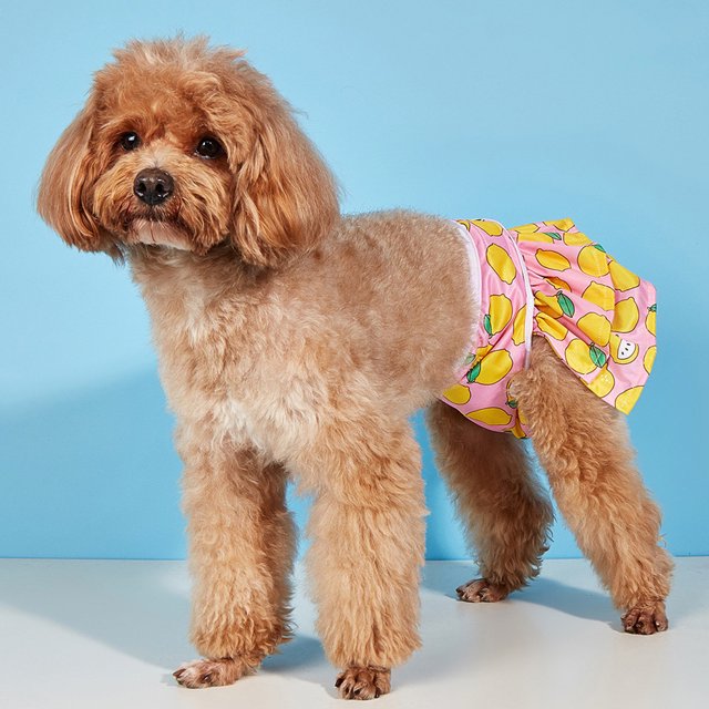 CBFFDC Combinaison pour Animaux Réutilisable Pantalon Physiologique pour Animaux Couches pour Chiens avec Imprimé Citron Vêtements de Protection Fournitures pour Animaux