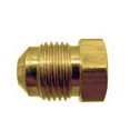 thumbnail image 2 of AP PRODUCTS Fitting Plug/ Fitting Cap - MEP2-6, 2 of 3