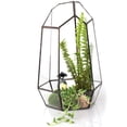 thumbnail image 3 of Irregular Glass Geometric Terrarium Box Flower Pot Fern D3.94 x 3.94 x 5.9 inch, 3 of 7