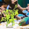 thumbnail image 4 of AMONIDA Aquarium Plastique Varech Plastique, Simulation Varech, Réservoir de Poissons pour Aquarium, 4 of 8