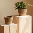 thumbnail image 4 of Handwoven Straw Plant Basket with Leak-Proof Liner - Chic Home Decor!, 4 of 12