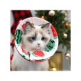 thumbnail image 1 of Cat Recovery Collar, Lightweight Pet Elizabeth Collar Cute Design 2 Different Sizes Measure First, 1 of 4