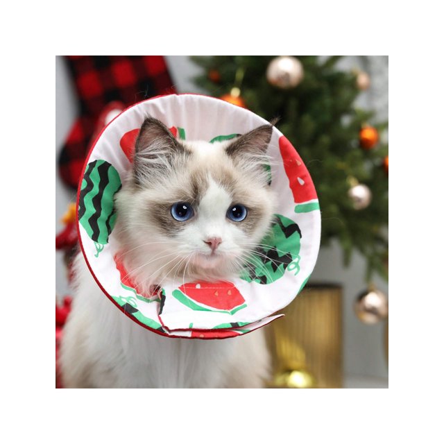 Cat Recovery Collar, Lightweight Pet Elizabeth Collar Cute Design 2 Different Sizes Measure First