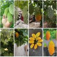 thumbnail image 1 of HJADGG Bitter Gourd Seeds, 40 Count Mini Variety, Heirloom Vegetable Seeds for Planting, 1 of 4