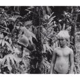 thumbnail image 3 of Lord Of The Flies Criterion Blu-Ray, 3 of 3