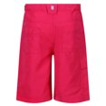 thumbnail image 2 of Regatta Boys/Girls Sorcer II Shorts, 2 of 5