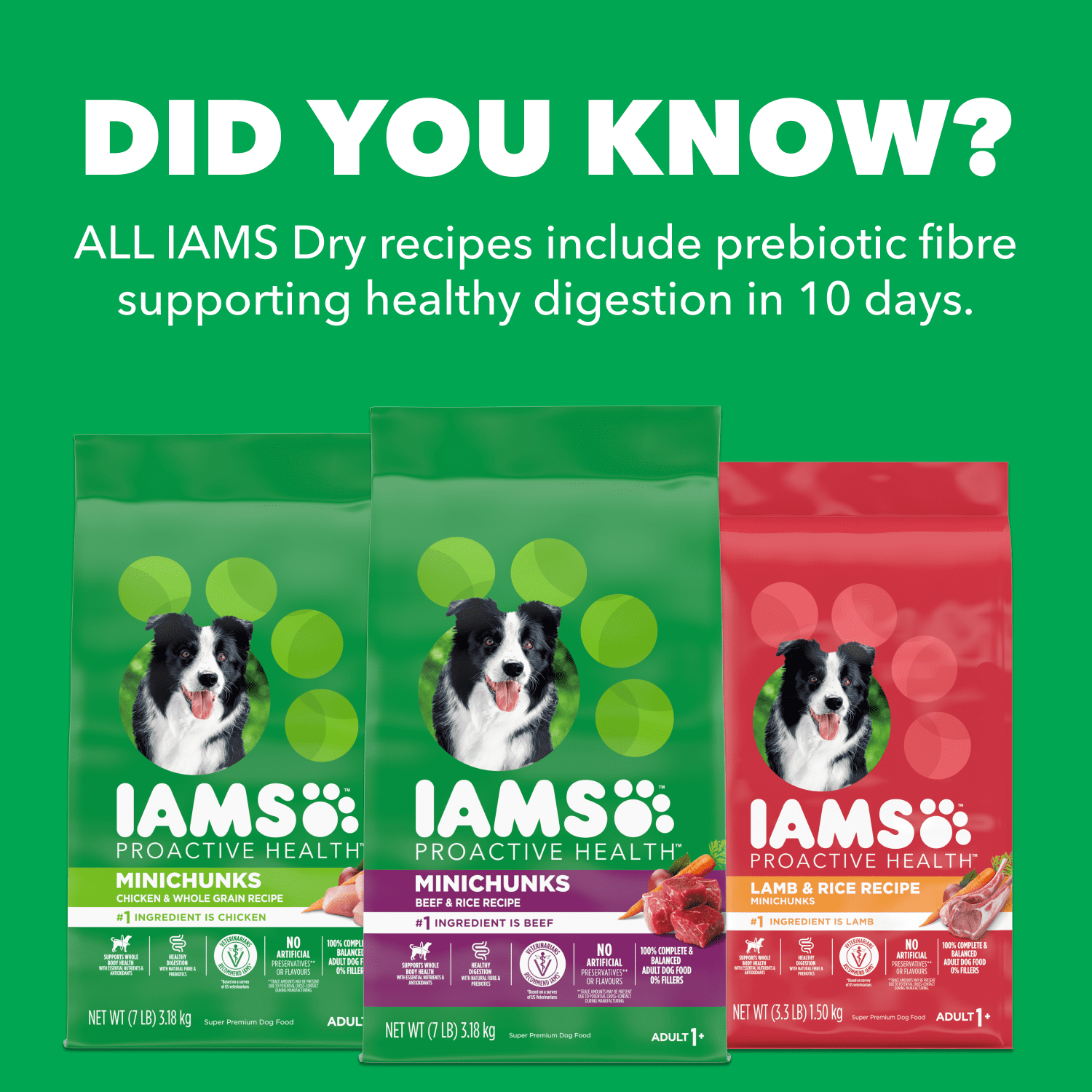 Iams Recette au Poulet & Grains Entiers Adulte Grande Race Nourriture Sèche pour Chiens 10kg