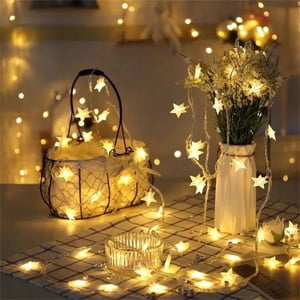 RKSTN Outdoor Lights 6M 40LED Five Pointed Star Light String Wedding Christmas Party Decoration Outdoor Garden Lights for Pathway Garden Yard Path Walkway Driveway Lawn Decor
