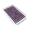 thumbnail image 3 of jifeng Artificial DIY Miniature Flower Cluster Grass Tufts Diorama Layout Scenery Model Amaranth, 3 of 9
